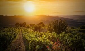 Tuscany